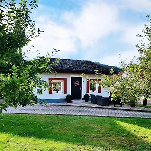  Apartament Neumann